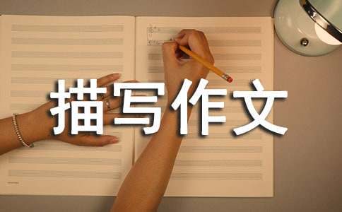 如何用瑜伽帮助篮球运动员快速恢复体能_1